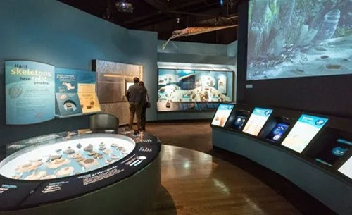 1640144947794951.jpg 2_副本.jpg